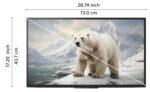 Sony BRAVIA 80 cm (32 inches) HD Ready Smart LED Google TV KD-32W825 (Black) - Image 8