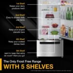 Whirlpool 235 L Frost Free Triple-Door Refrigerator | Zeolite Technology | Microblock Technology(FP 253D PROTTON ROY RADIANT STEEL(Z), Up to 44% Reduction in Cold Air Loss*] - Image 6